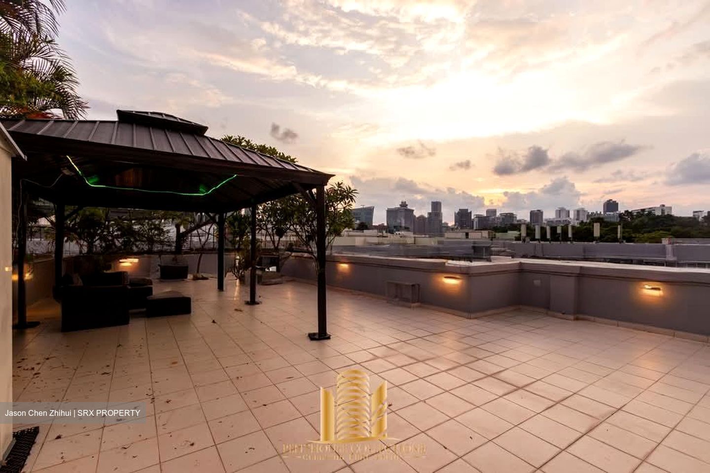 8 @ Mount Sophia (D9), Condominium #582523971